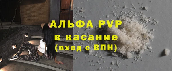 гидра Абаза