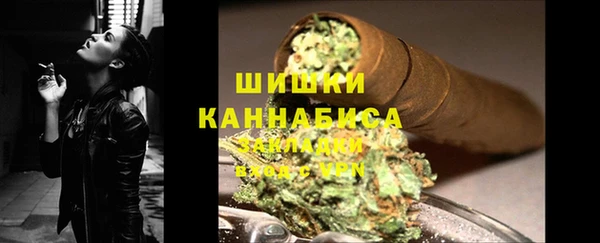 гидра Абаза