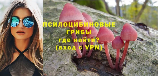 гидра Абаза