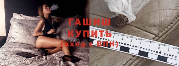 гидра Абаза