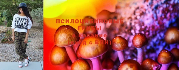 индика Гусь-Хрустальный