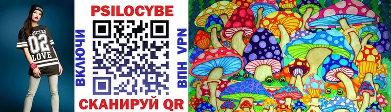 где можно купить наркотик Морозовск Псилоцибиновые грибы Magic Shrooms